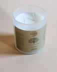 Bamboo | Spring Surprise Collection | Soy + Coconut Wax Blend