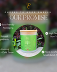Melon Medley | Summer Vibes Collection | Soy + Coconut Wax Blend