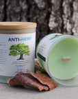 Anti-Hero | Swifties Collection | Soy + Coconut Wax Blend