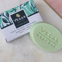 Vegan Body Bar | Cucumber Melon | All Natural Body Cleansing Bar