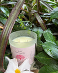 Wild Honeysuckle | Year Round Staple | Soy + Coconut Wax Blend