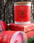 Peppermint Snow | Holiday Faves | Soy + Coconut Wax Blend