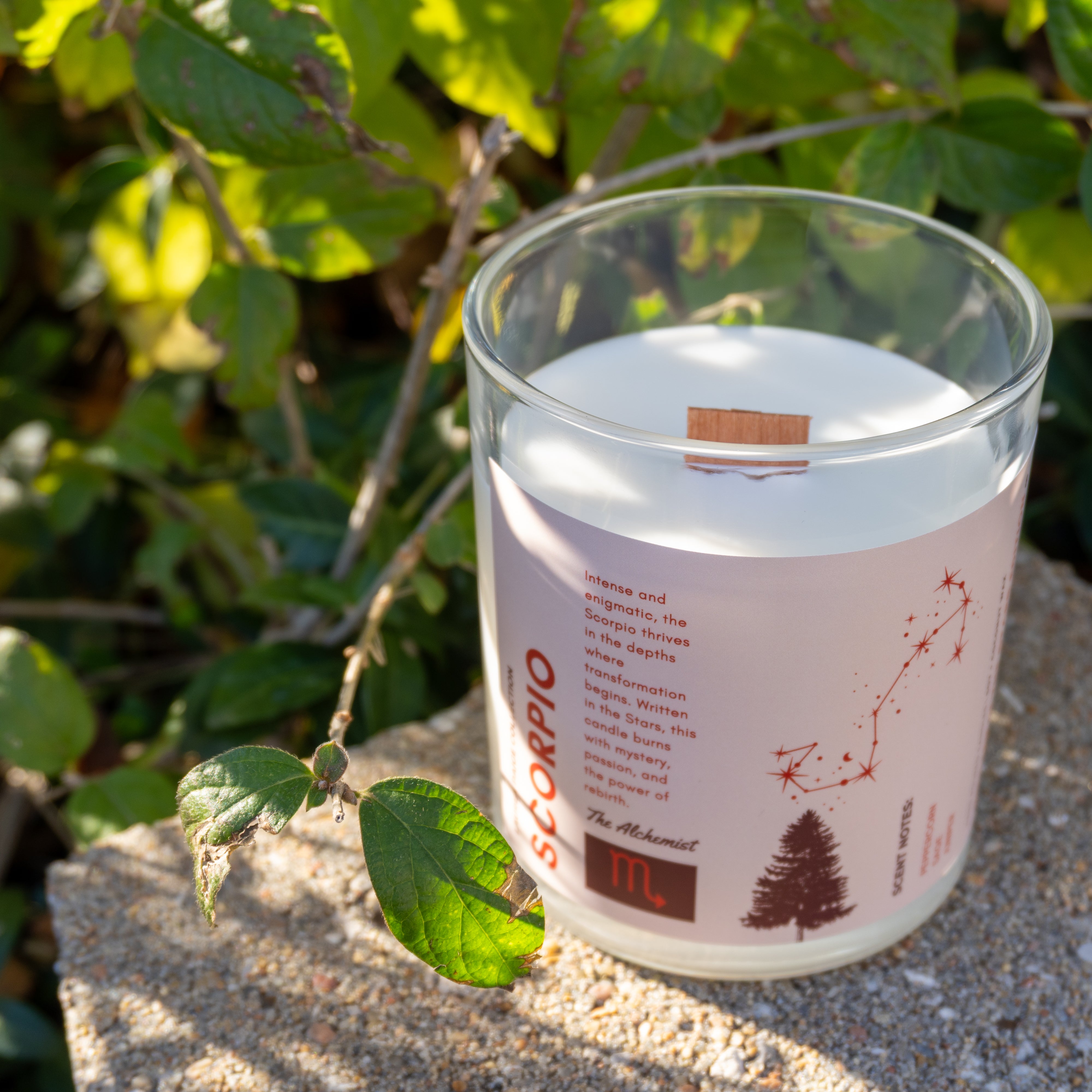 ♏ SCORPIO Candle – The Alchemist | Written In The Stars Edition