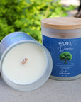 Wildest Dreams | Swifties Collection | Soy + Coconut Wax Blend