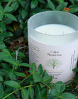 Calm Meadows | Year Round Staple | Soy + Coconut Wax Blend