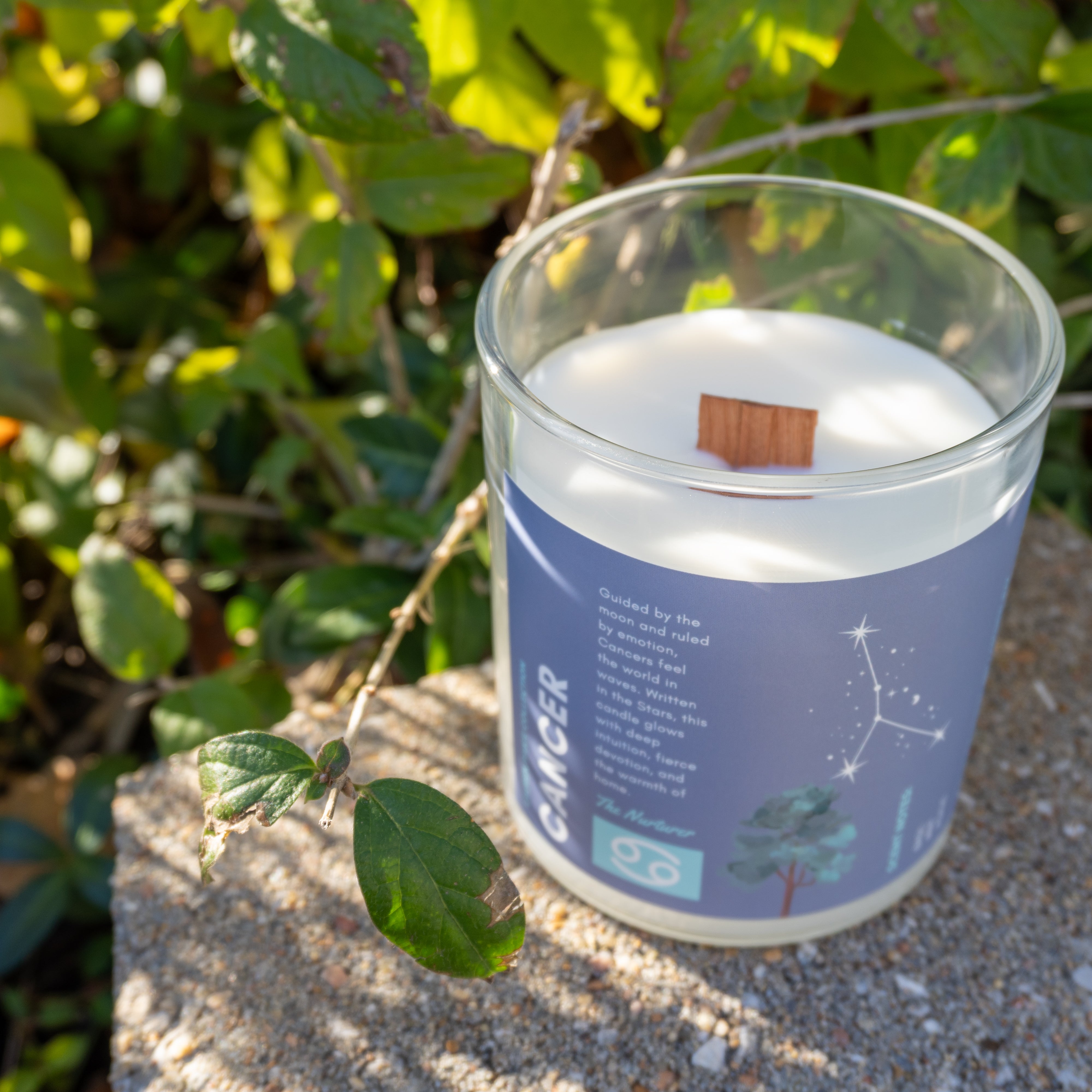 CANCER The Nurturer Candle | Lauren Paige Collection