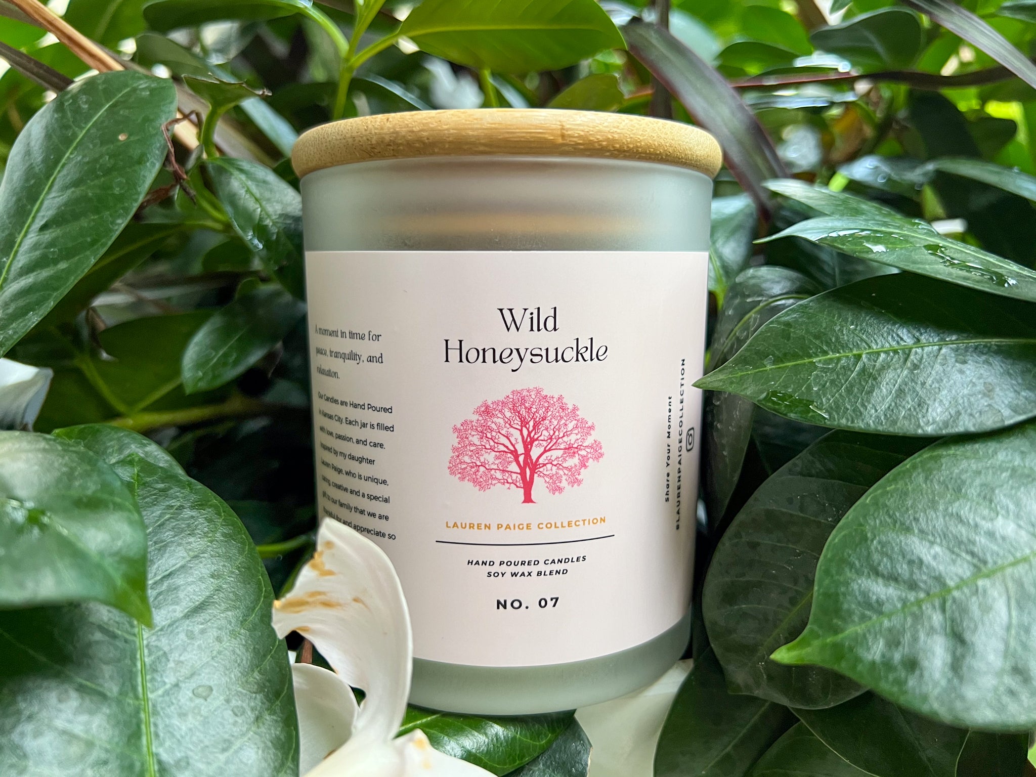 Wild Honeysuckle | Year Round Staple | Soy + Coconut Wax Blend
