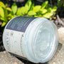 Vegan Body Scrub | Tea Tree + Sea Moss | All Natural Body Cleansing Scrub