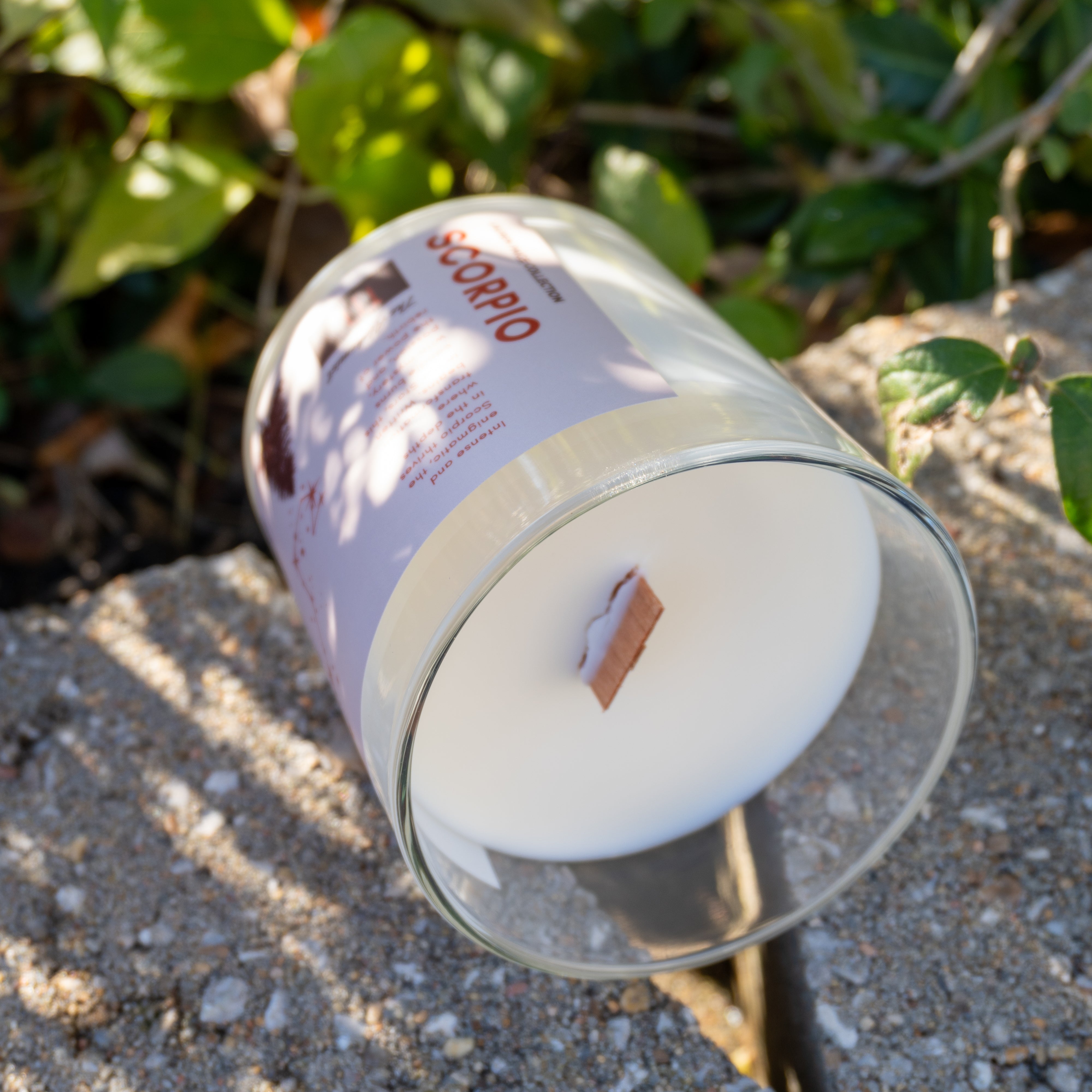 ♏ SCORPIO Candle – The Alchemist | Written In The Stars Edition