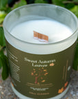 Sweet Autumn Leaves | Fall Classic Collection | Soy + Coconut Wax Blend