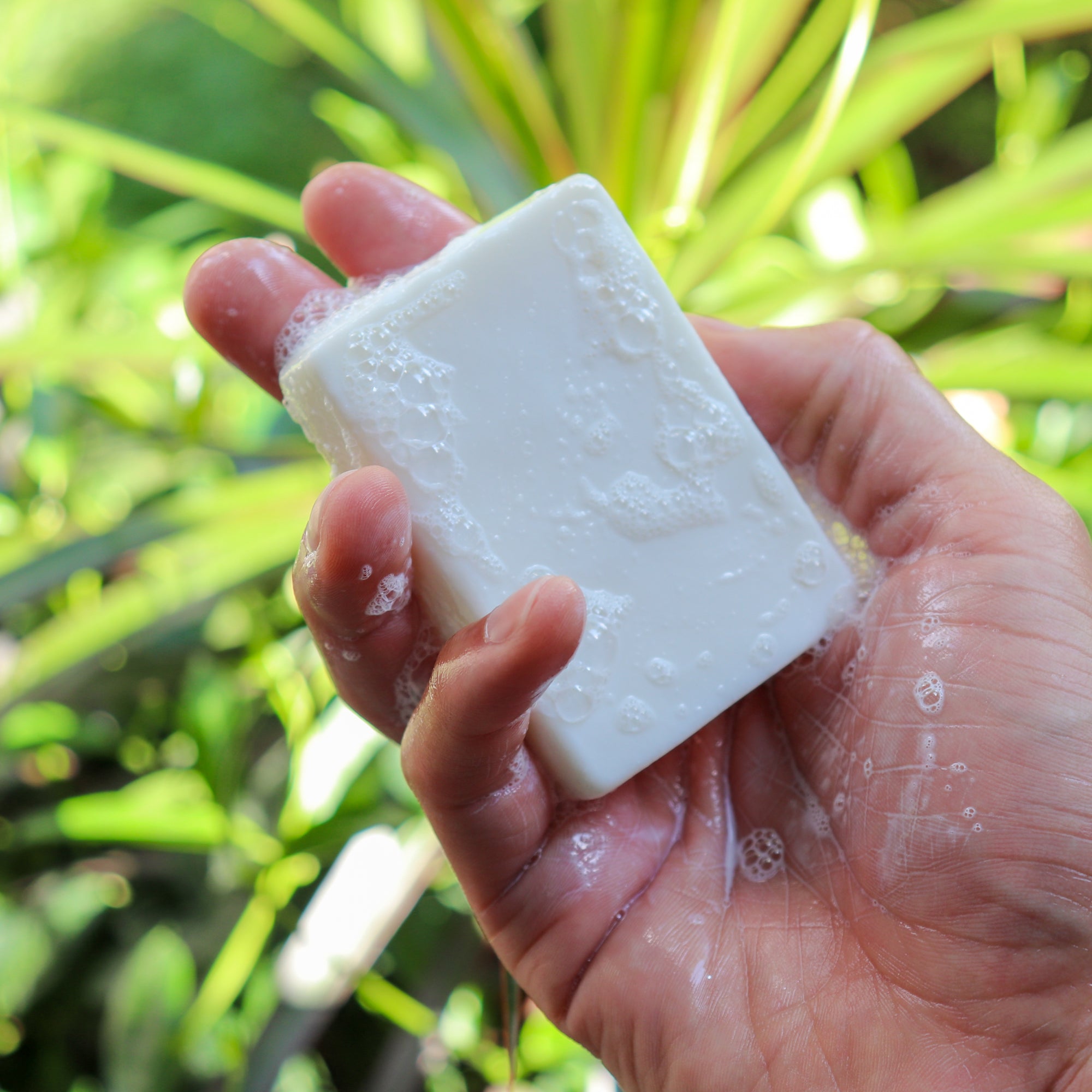 Vegan Body Bar | Sweet Orange | All Natural Body Cleansing Bar
