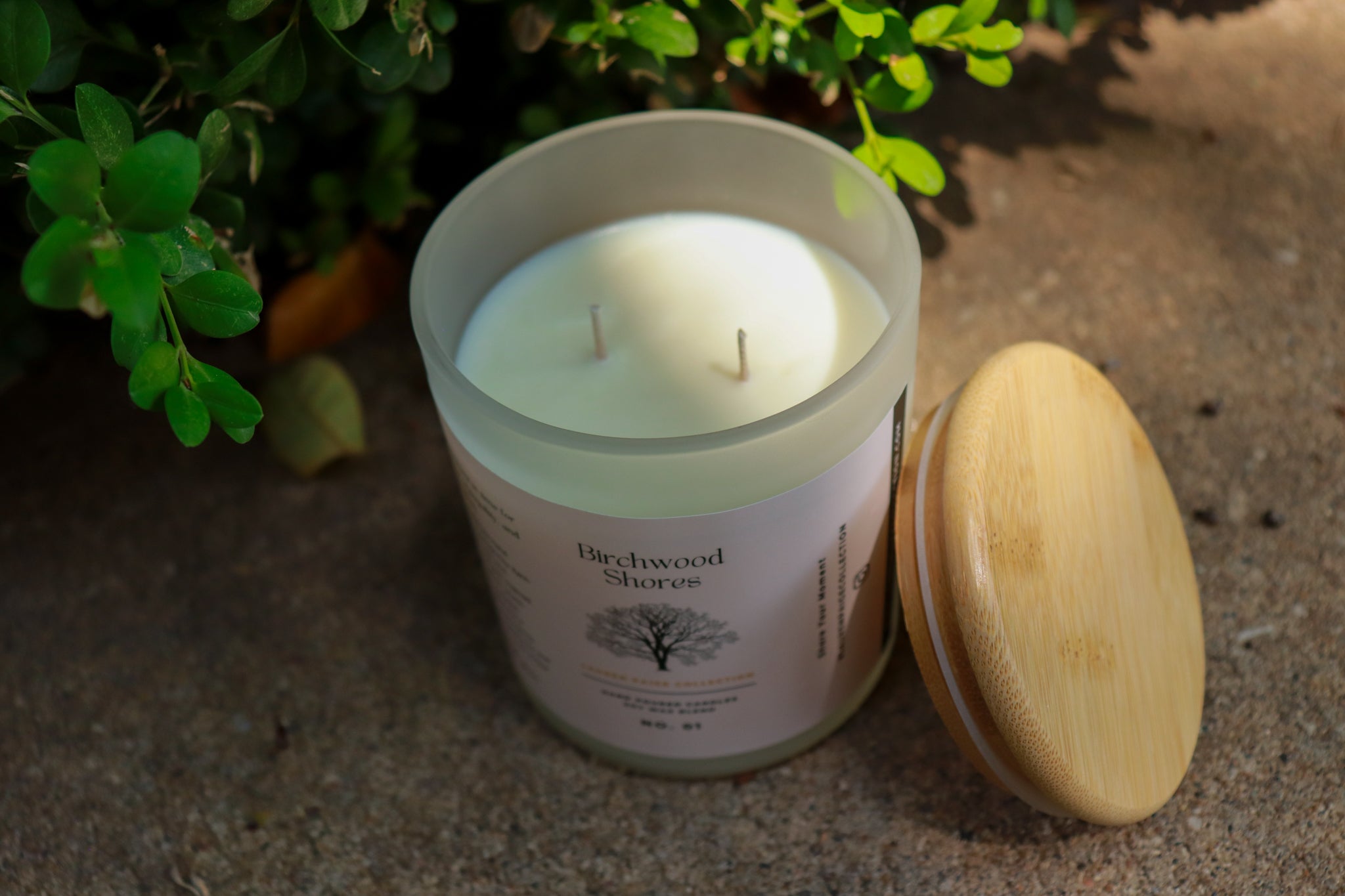 Birchwood Shores | Year Round Staple | Soy + Coconut Wax Blend